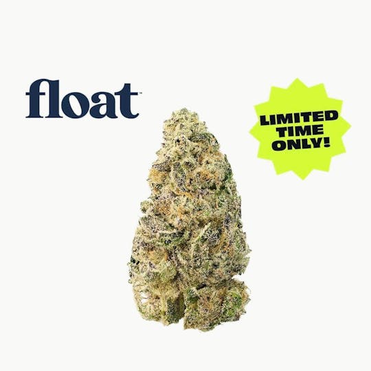 Float - Float - Mocha Popz Flower 3.5g - 1