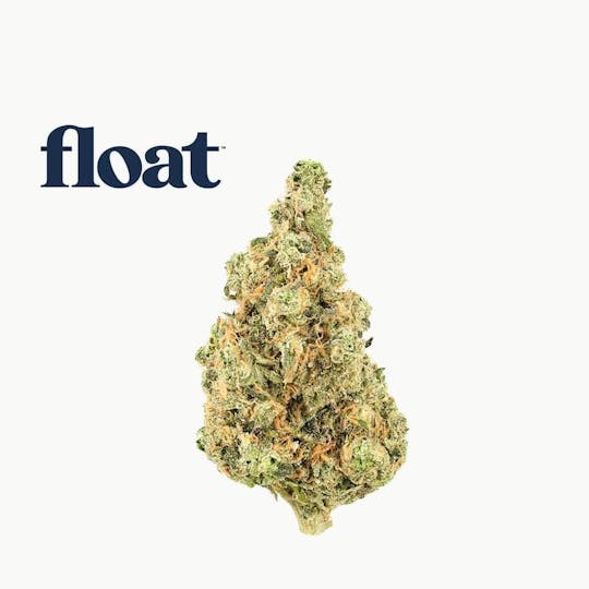 Float - Float - Bosscotti Flower 3.5g - 1