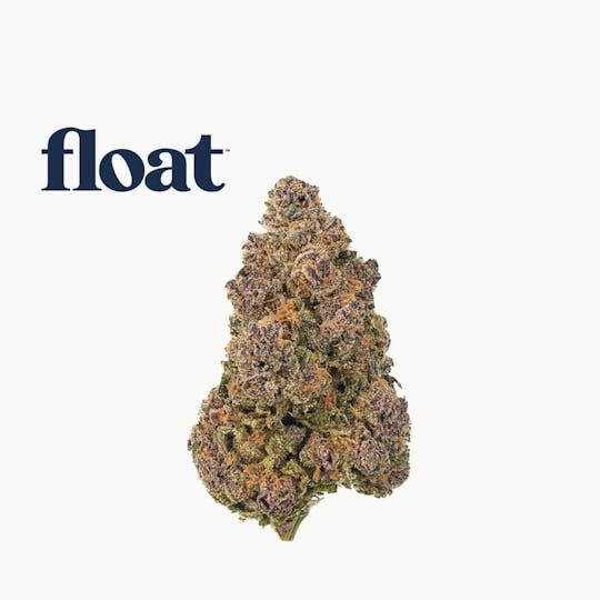 Float - Float - Mauve Mochi Flower 3.5g - 1