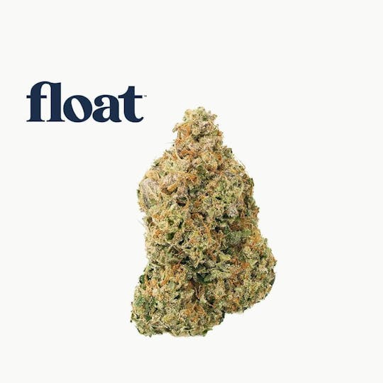 Float - Float - Motor Breath x Mike Larry Flower 3.5g - 1