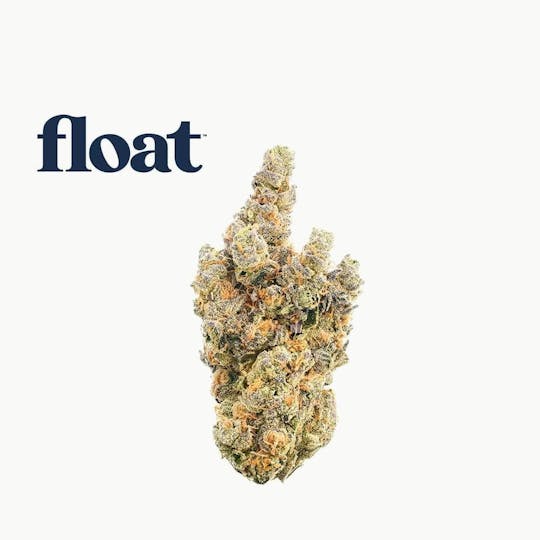 Float - Float - Gaspar's Grapes Flower 3.5g - 1