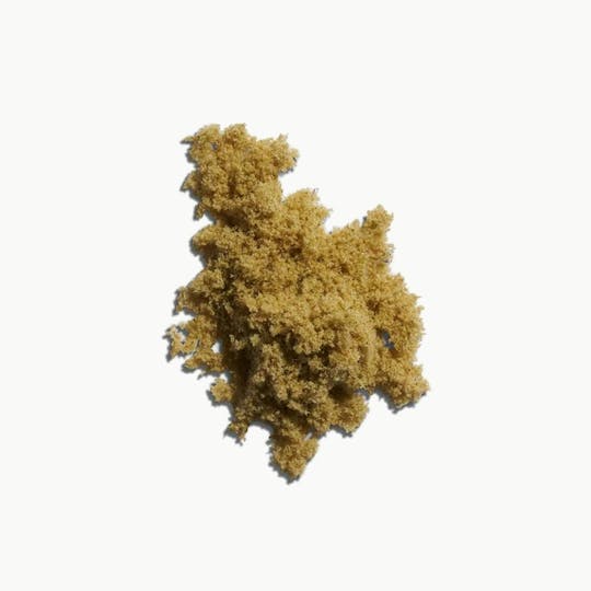 Float - Float - Apples N Bananas x Pancakes Jealousy Kief 1g - 1
