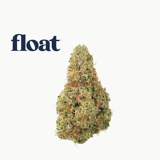 Float - Float - Top Gear Flower 3.5g - 1