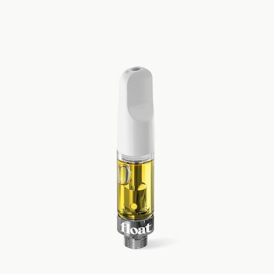 Float - Float - Amnesia Cartridge 1g - 1