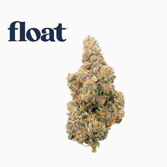 Float - Float - Apples N Bananas x Pancakes Jealousy Flower 3.5g - 1