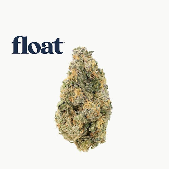 Float - Float - Jelly Sea Flower 3.5g - 1