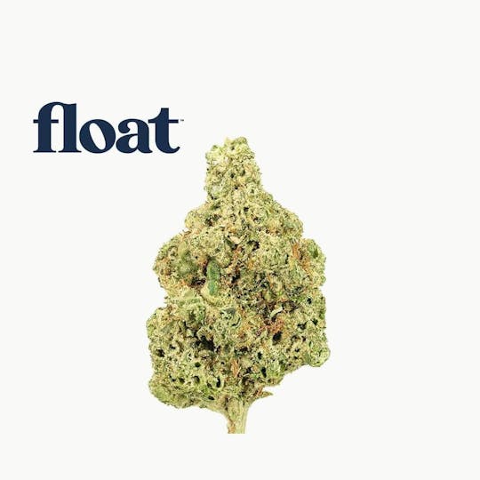 Float - Float - 007UP Flower 3.5g - 1
