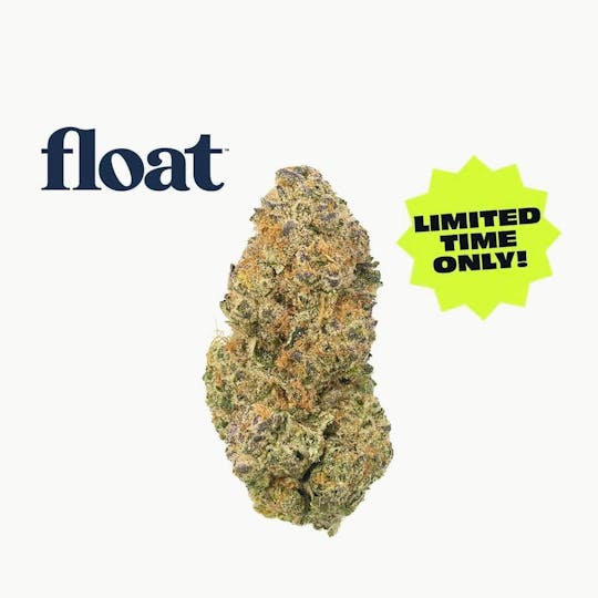 Float - Float - Dulce De Fresa Flower 3.5g - 1