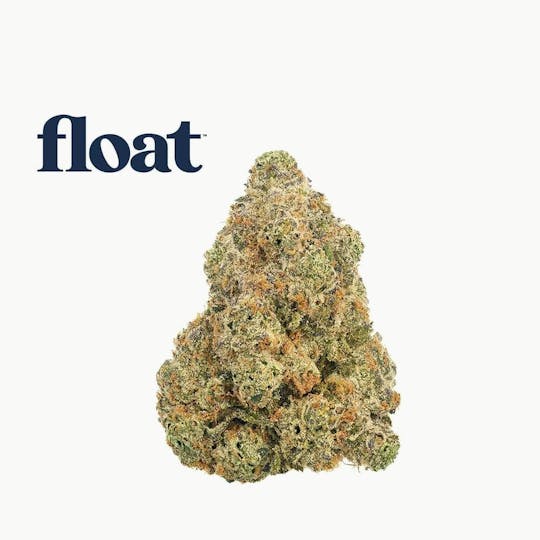 Float - Float - White Hot Guava 14 x Black Velvet Flower 3.5g - 1
