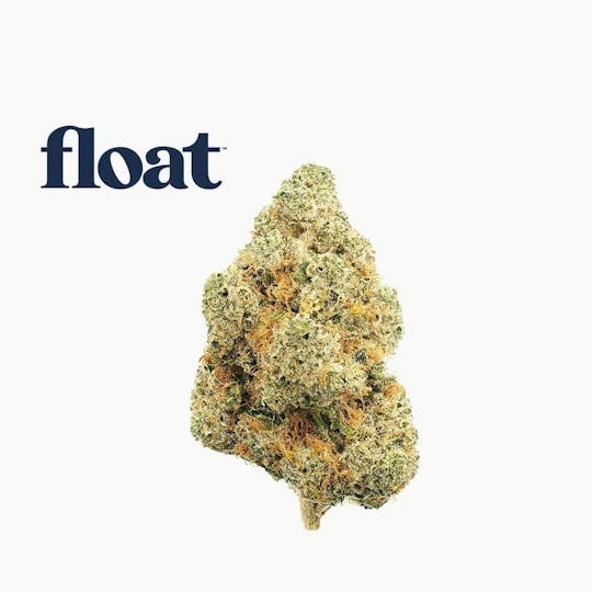 Float - Float - Black Triangle Kush Flower 3.5g - 1