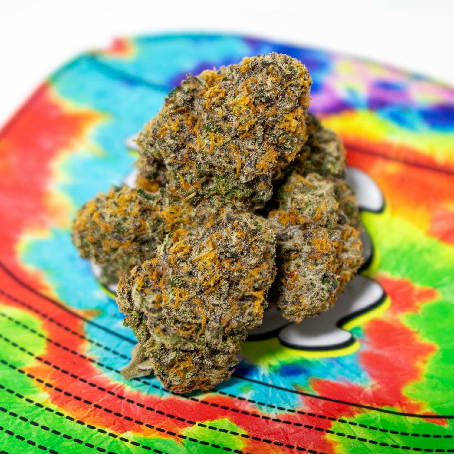 TEDS BUDZ - Reading Rainbow - 1