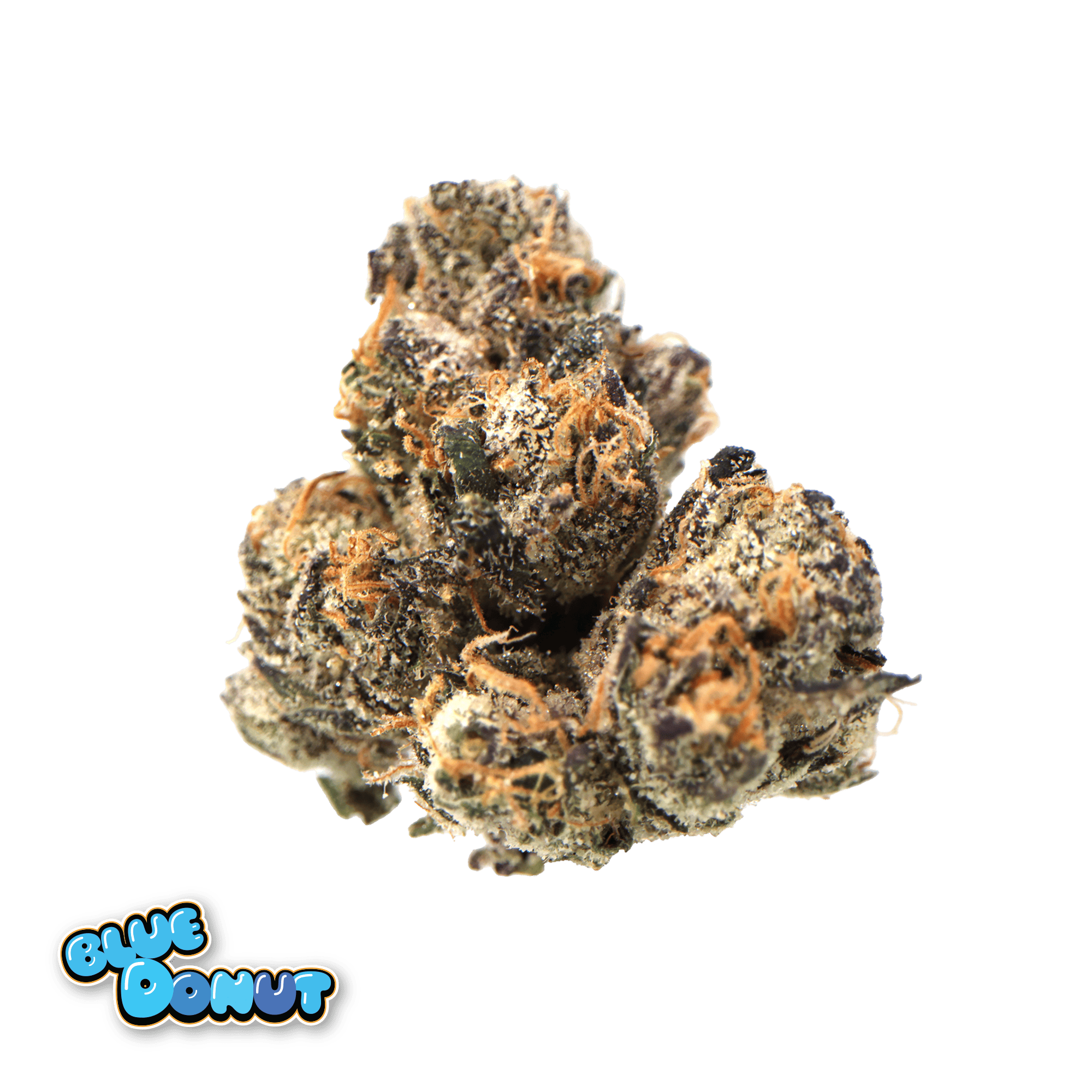 Traditional - Traditional - Blue Donut Minis 15g - 1