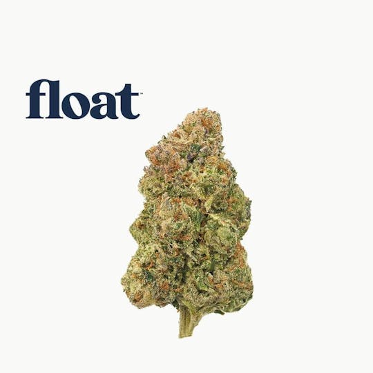 Float - Float - Georgia Runtz Flower 3.5g - 1