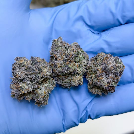 Fig Farms - Mad Dog 64 - 1