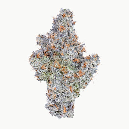 Fig Farms - Trixxx - 1