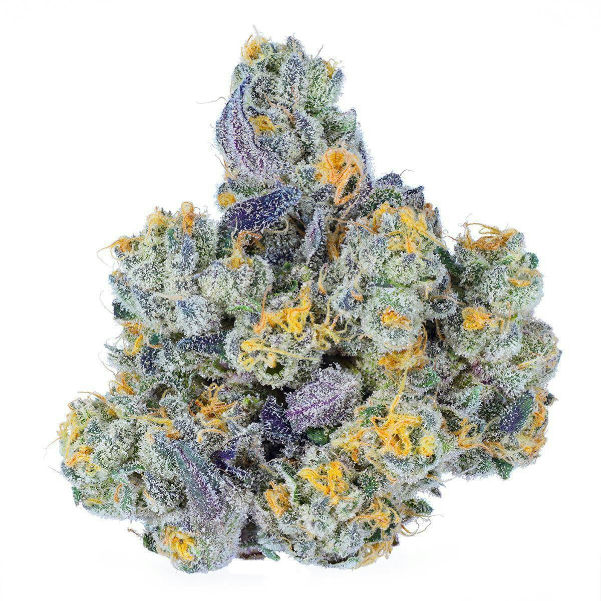 Fig Farms - Fig Farms | Trixxx | Big Buds - 1