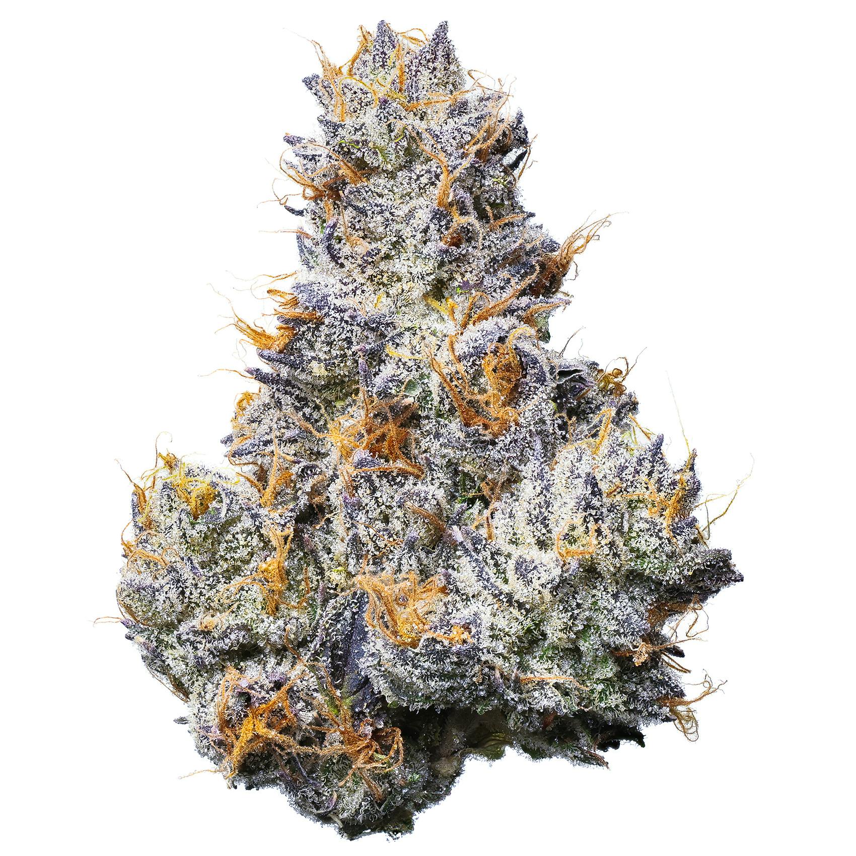 Fig Farms - Fig Farms | Trixxx | Big Buds - 1