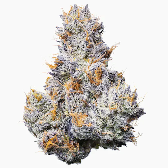 Fig Farms - Fig Farms | Trixxx | Big Buds - 1
