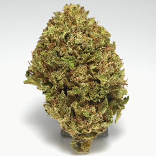 Catch A Cloud - CAC G41 Flower 14g (s) - 1