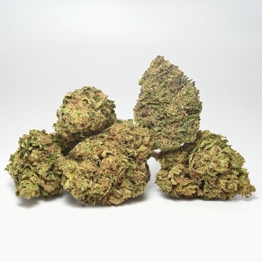Catch A Cloud - CAC Lava Jungle Cake Flower 14g (i) - 1