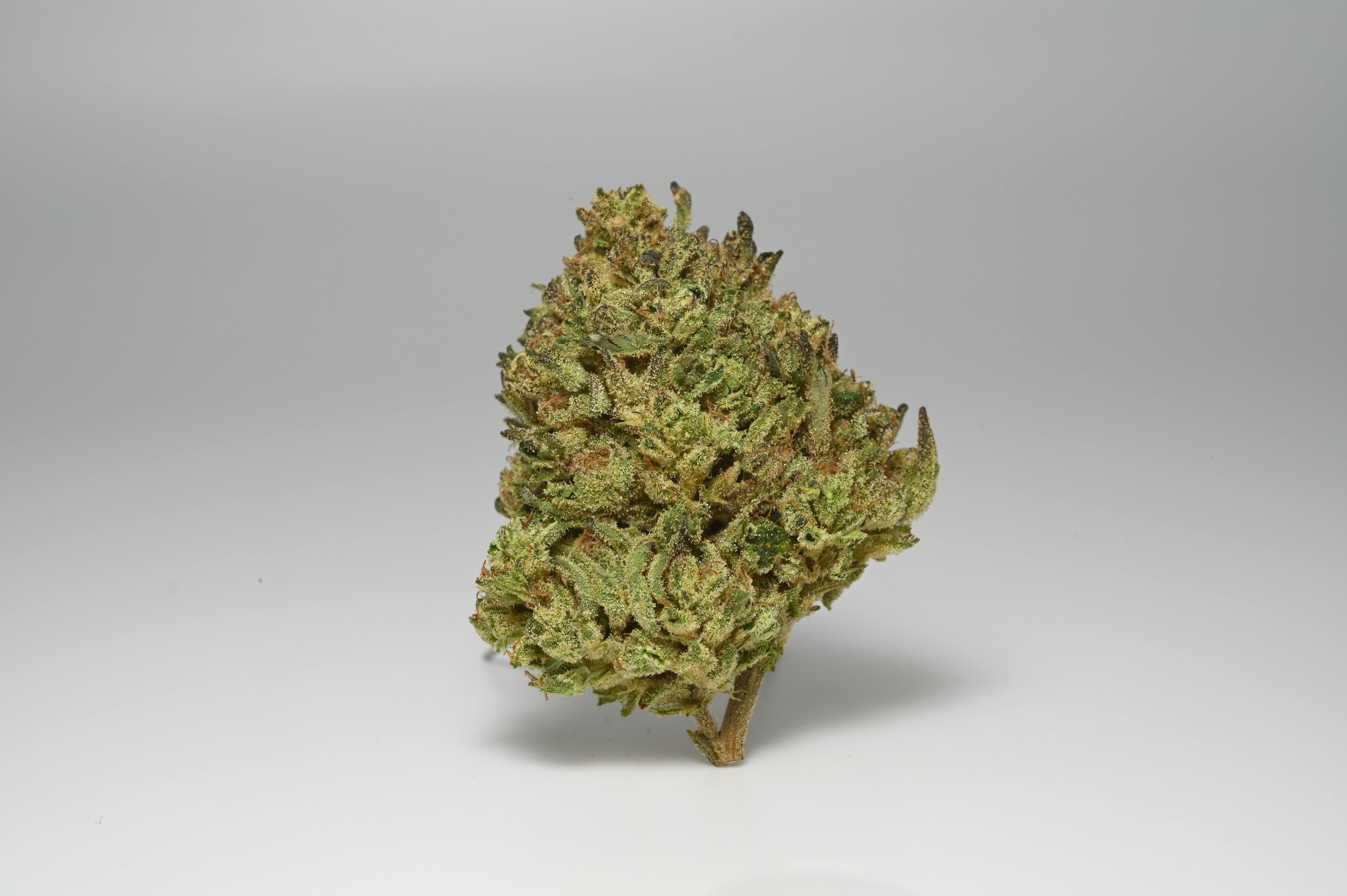 Catch A Cloud - CAC Platinum Cookies 28g (h) - 1