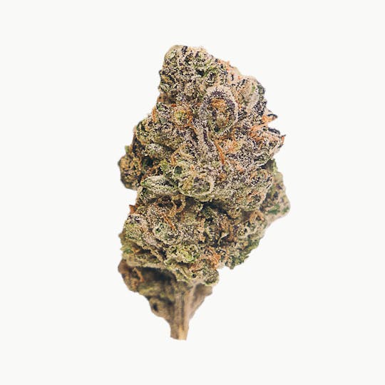 Catch A Cloud - BOTAN Durban Gushers 3.5g (s) INDOOR - 1