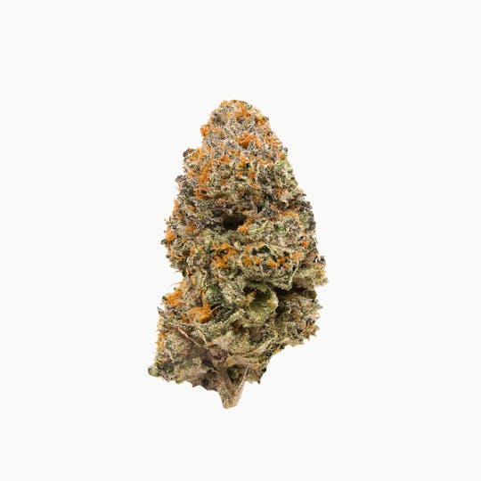 Catch A Cloud - BOTAN ZOAP 3.5g (h) INDOOR - 1