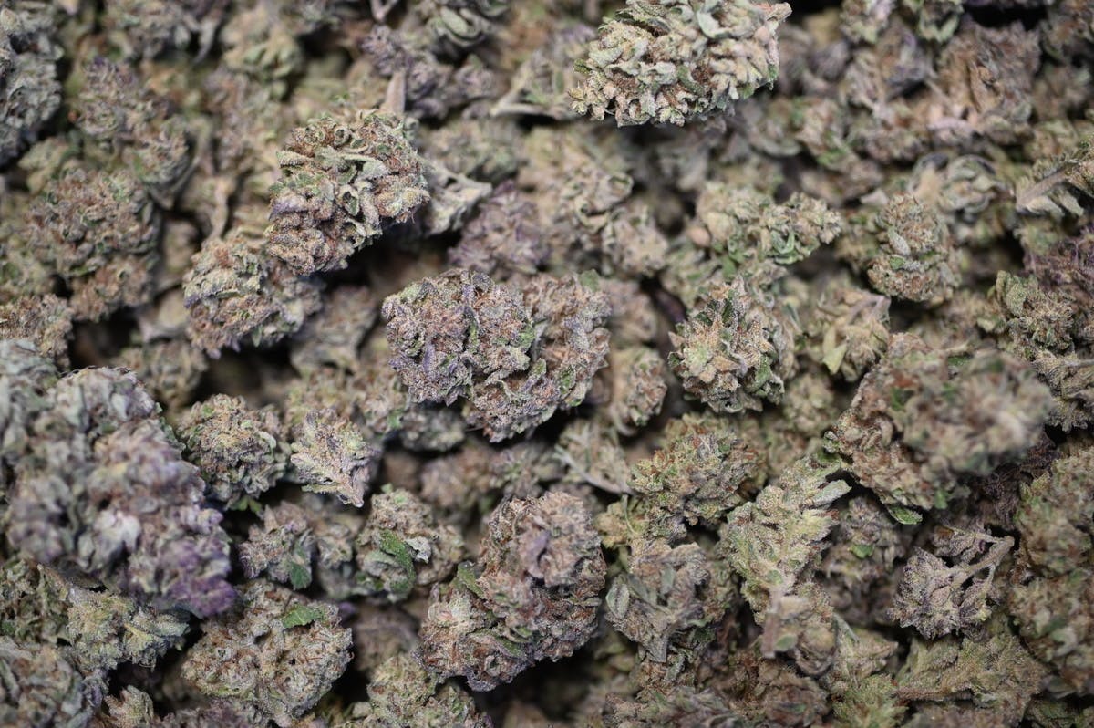 Catch A Cloud - FHWL Amnesia Haze 14g (s) smalls - 1