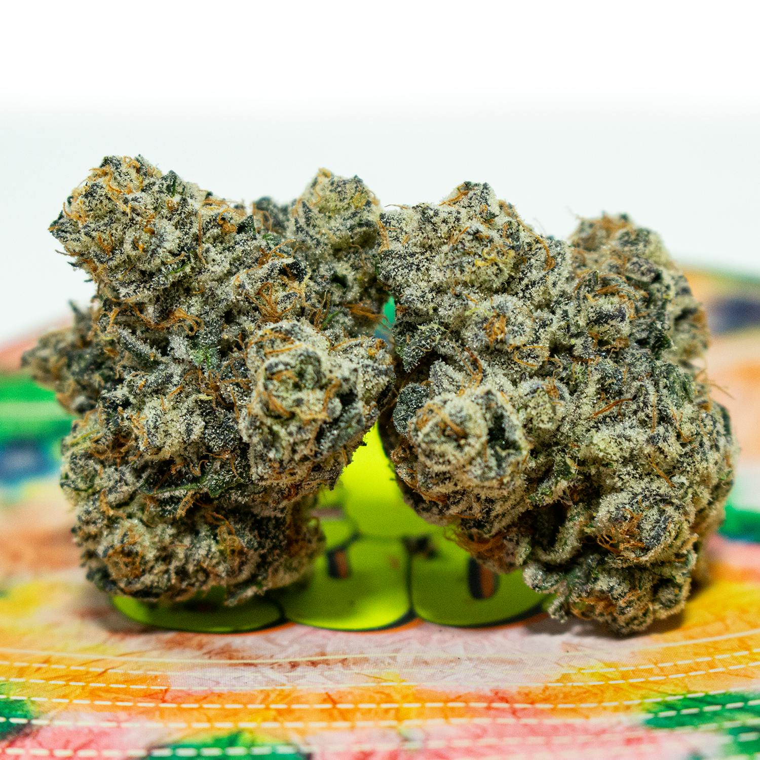 TEDS BUDZ - Pink Ranger - 1