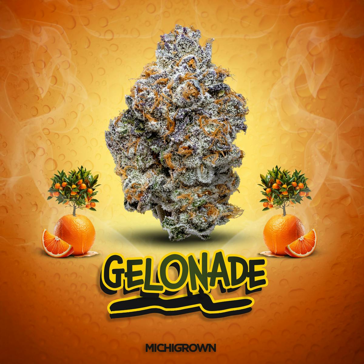 MICHIGROWN - Gelonade - 3.5 Grams - Michigrown Premium Flower - 1