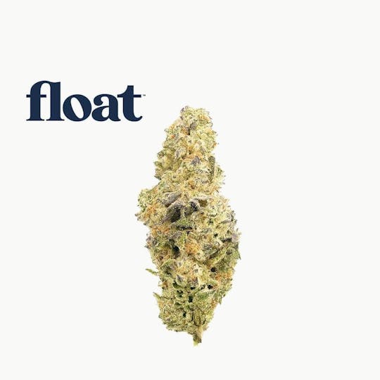 Float - Float - Grape Essence Flower 3.5g - 1