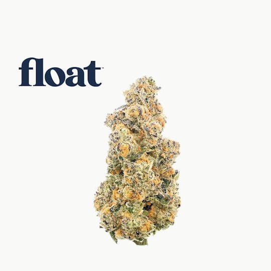 Float - Float - Trop Top Flower 3.5g - 1