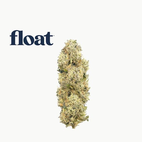 Float - Float - Fried Ice Cream Flower 3.5g - 1