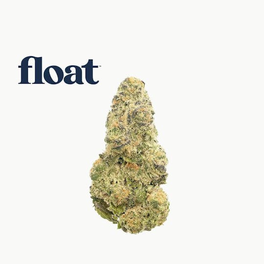 Float - Float - Space Case Flower 3.5g - 1