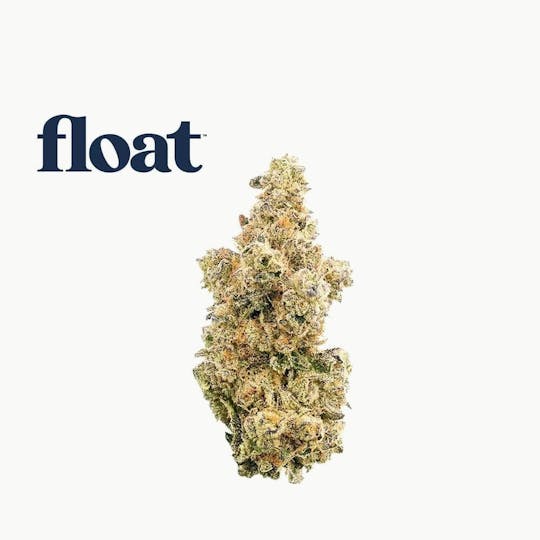 Float - Float - Truffle Two Step Flower 3.5g - 1