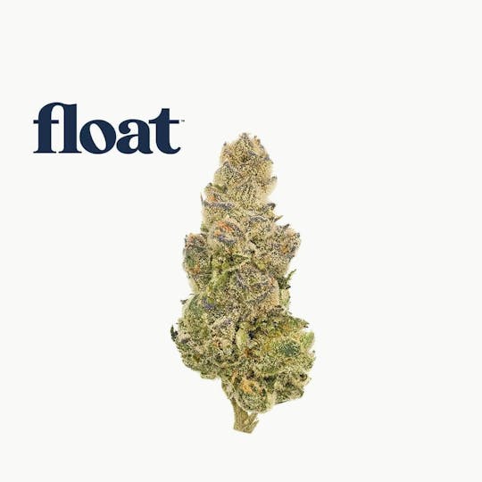 Float - Float - Florida Frost Point Flower 3.5g - 1