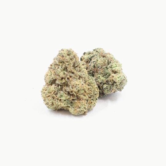 LaHaze Cannabis - Lemon Fresh REGS A Bud - 1
