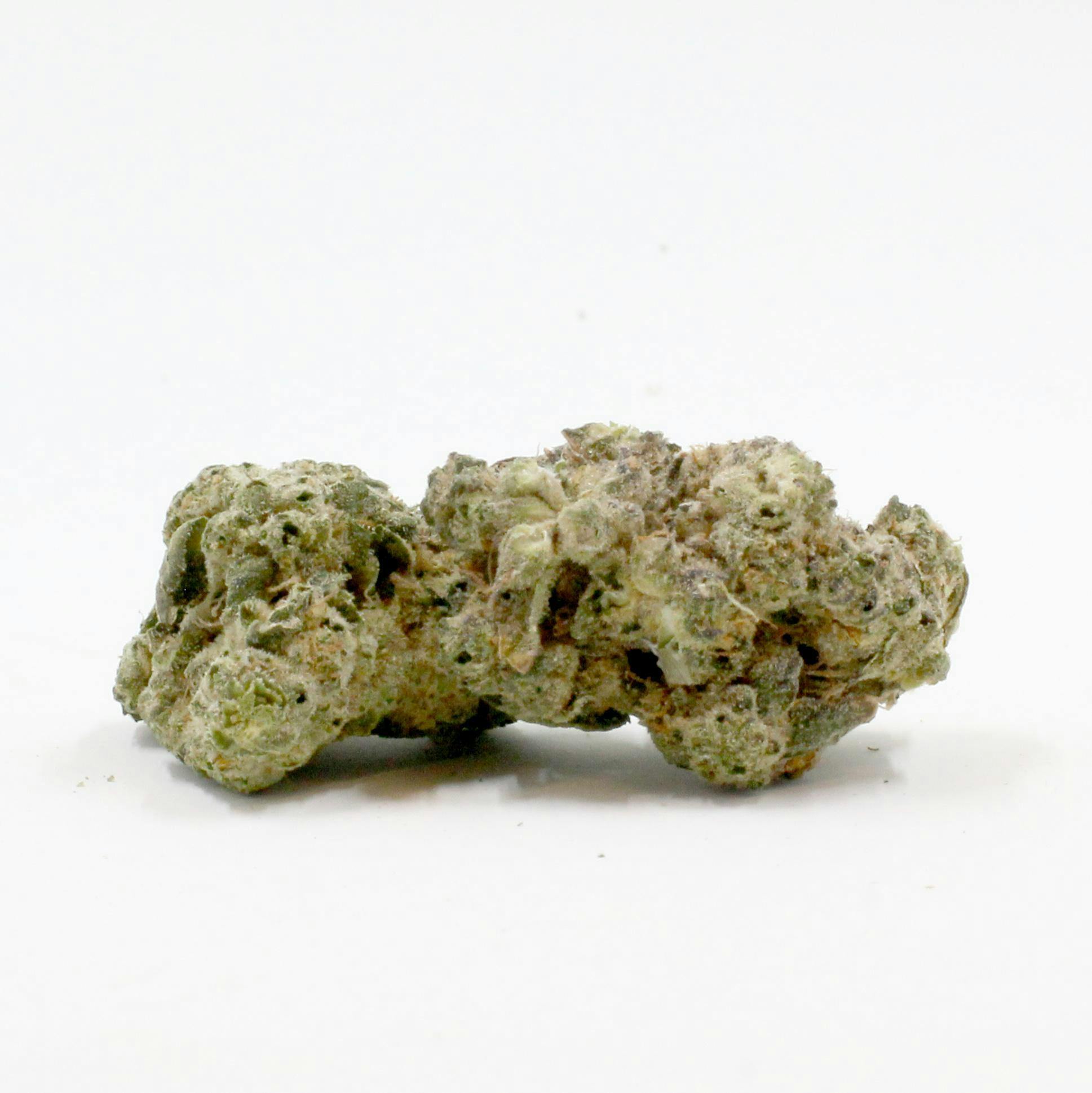 LaHaze Cannabis - Cheddar Cheeze REGS Bud - 1