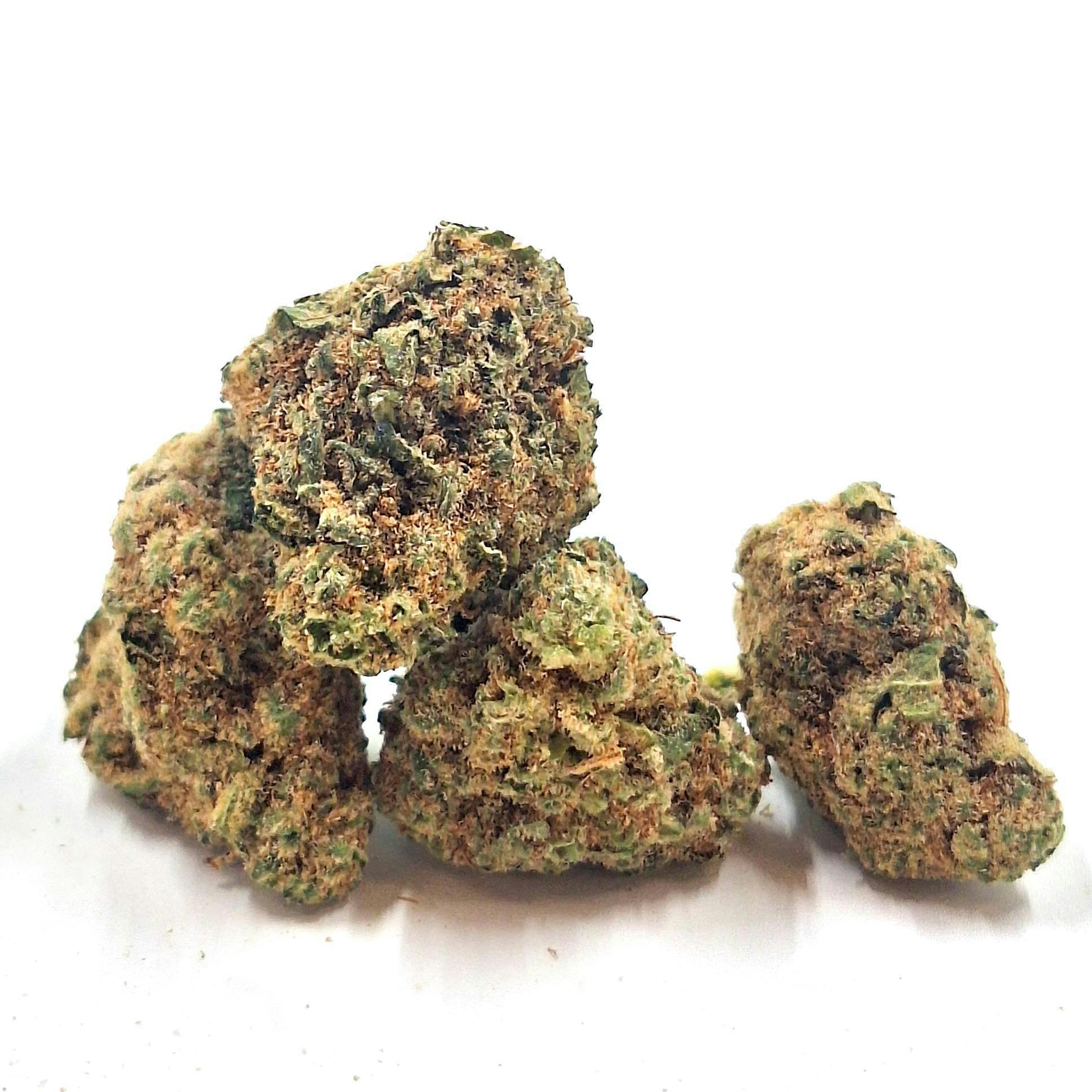 LaHaze Cannabis - Jack Herer REGS Bud - 1