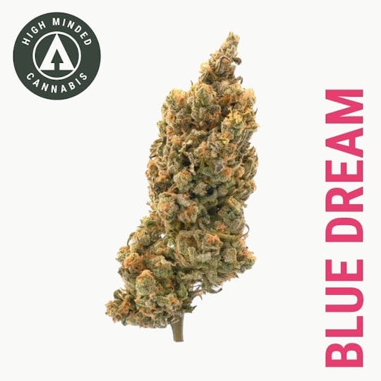 High Minded - Blue Dream - Gold Tier - 1