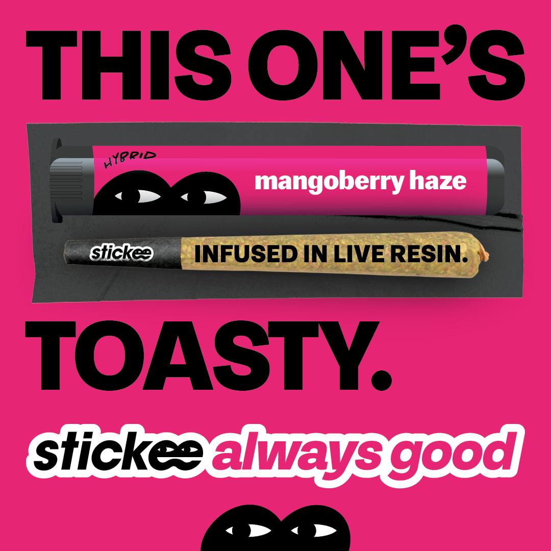 Stickee - STICKEE | Mangoberry Haze | 1.2g | Live Resin Infused Pre-Roll - 1