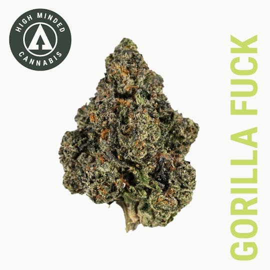 High Minded - Gorilla Fuck - Platinum Tier - 1