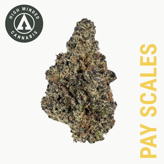 High Minded - Pay Scales - Silver Tier - 1