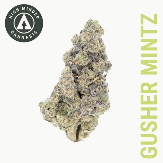 High Minded - Gusher Mintz - Gold Tier - 1