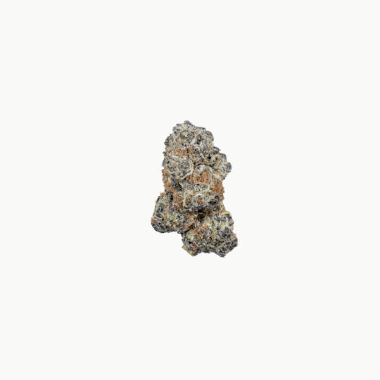 High Minded - Zookies - Gold Tier - 1