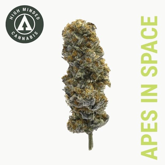 High Minded - Apes in Space - Platinum Tier - 1