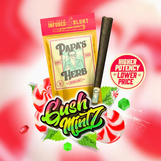 Papa's Herb - Gush Mints | Infused Blunts | 1g - 1
