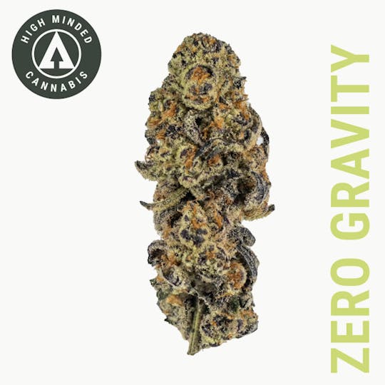 High Minded - Zero Gravity - Gold Tier - 1