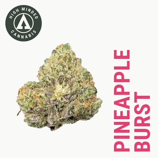 High Minded - Pineapple Burst - Gold Tier - 1