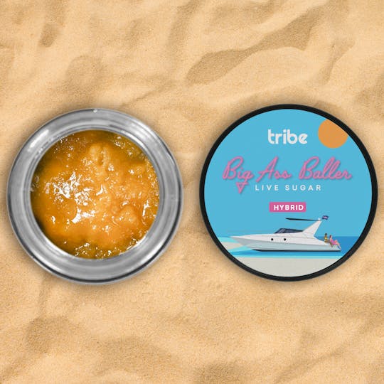 Tribe - Gelato Drop - Live Resin Sugar – Big Ass Baller – 28g - 1